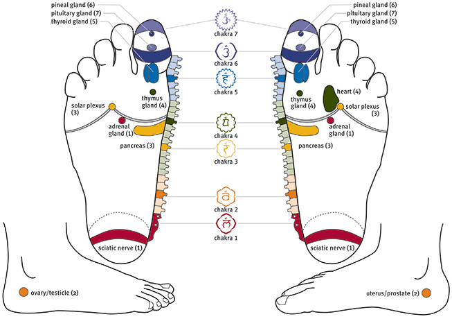 Reflexology Foot Chart Chakras