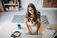 Woman working at a home computer with a dog on her lap